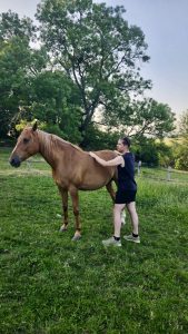 21efc520-80df-48b9-a642-7343bf7308a1