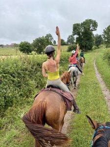 44f069bf-8cd8-4cd9-ad98-2890ba3c902f