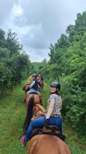 9baeb22b-b248-4c63-82ea-0b94eb800b42