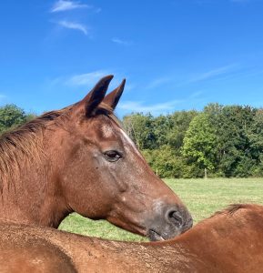 c1d275ca-0379-4022-b086-622cee6fe9ad