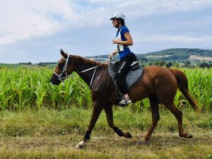 ebb393c6-6686-43d9-a4c9-3d89d8342d31