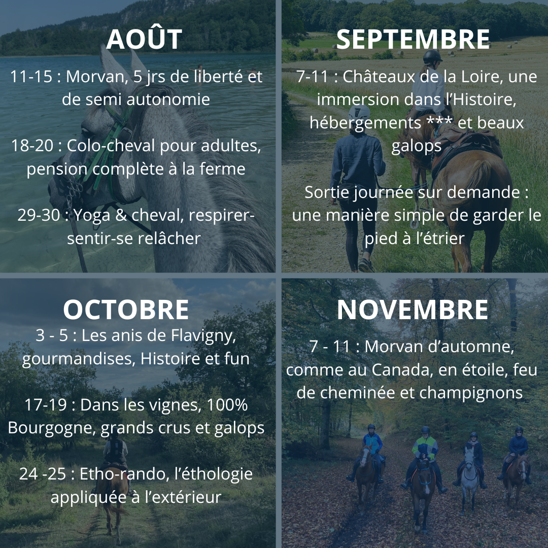 Randonnées et activités été - automne