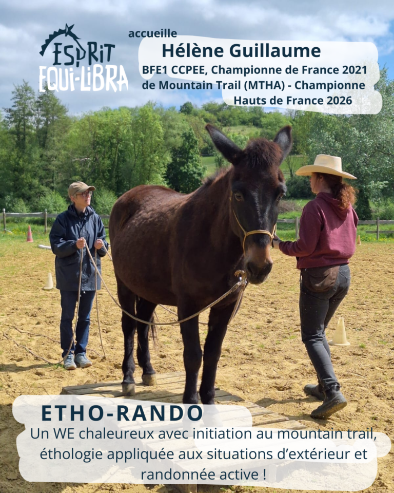 etho rando, equitation d'exterieur