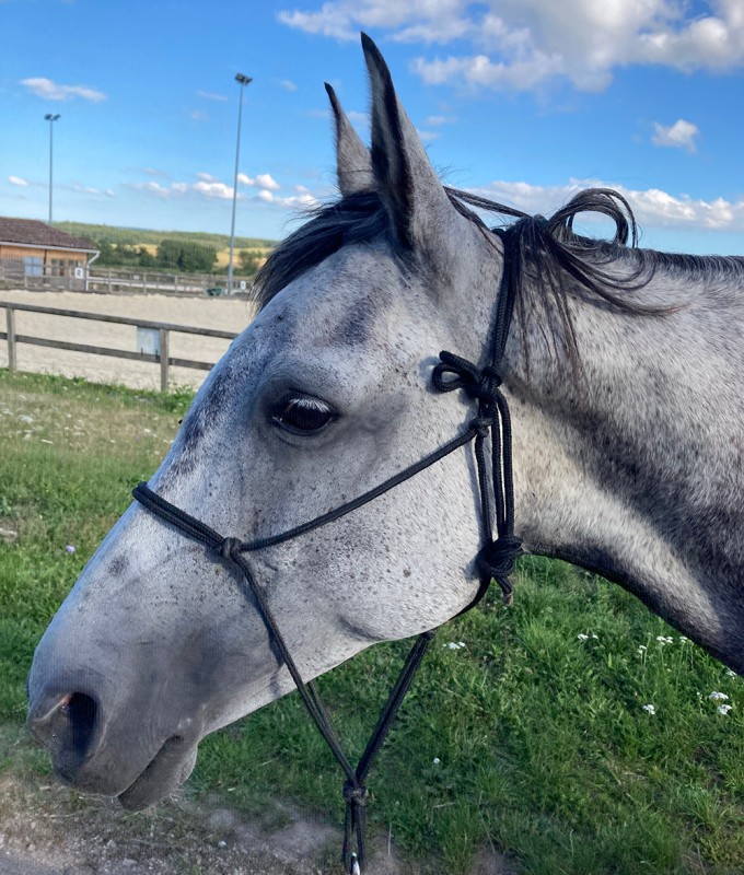 ebene Ébène Esprit Equilibra