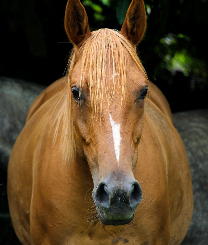 Rita Rita Esprit Equi-libra